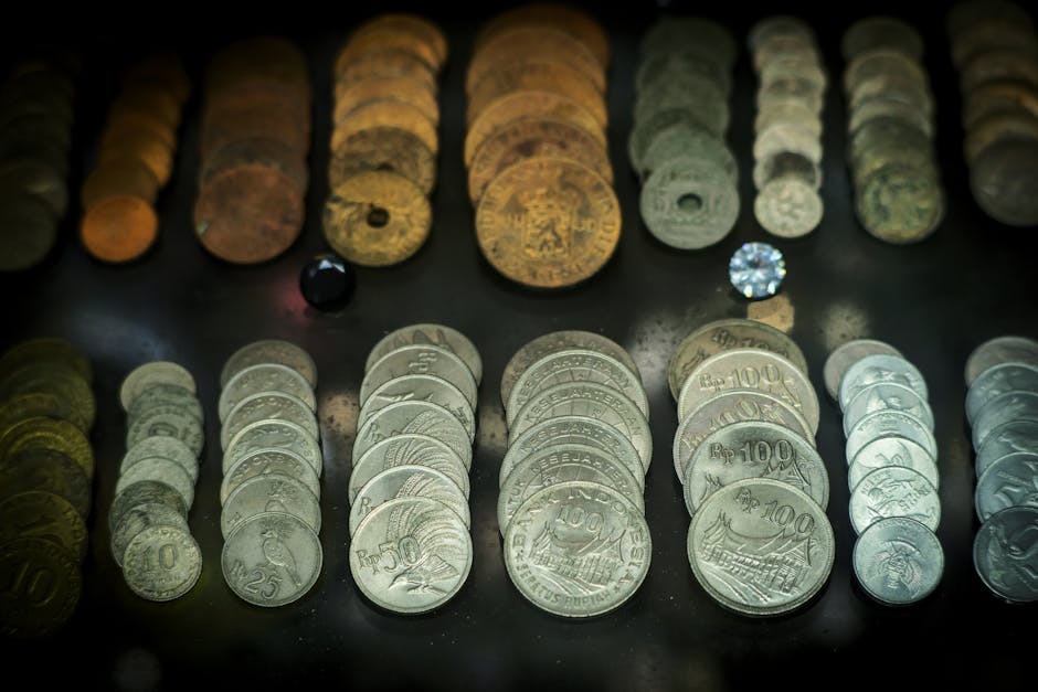 Numismática para principiantes: guía completa para empezar tu colección